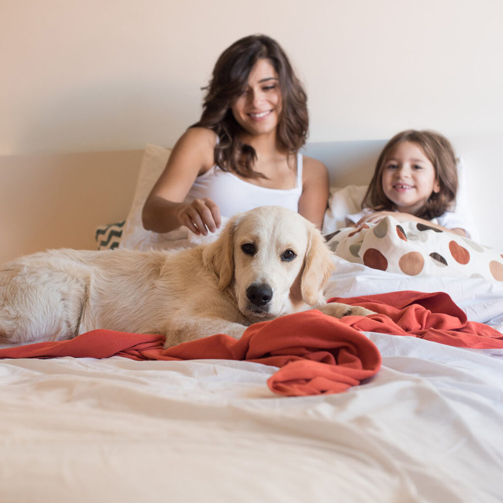 mother and daughter laying in bed alongside their golden retriever dog